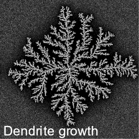 Biomolecules to suppress dendrite growth in Li-ion batteries